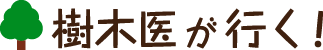 樹木医が行く