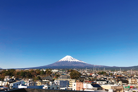 14 GUEST HOUSE MT. FUJI